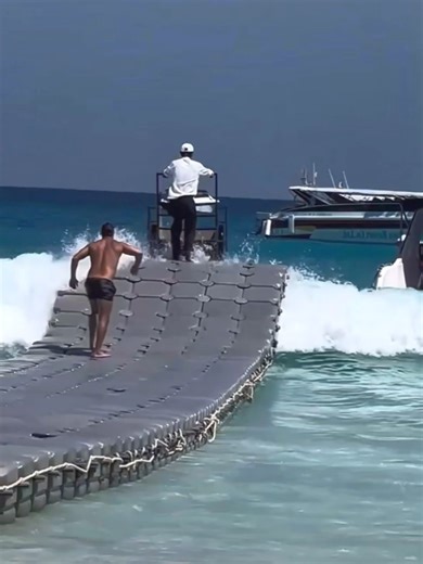 Exploring Ocean Life on the High Seas