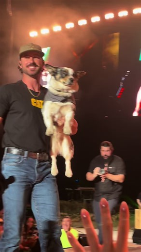 Regan Brown on TikTok