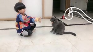 🤲😿 | Lovely Cat