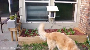 Arduino Garden Controller - Automatic Watering and Data Logging