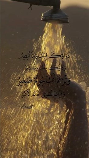 وَتَزعم أنكَ جرِمٌ صَغِيرُ #اكسبلور #like #reels #shorts #iraq #شعر #كتابات