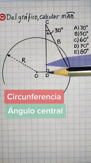 Ángulo Central en la Circunferencia: Resolución de Problemas