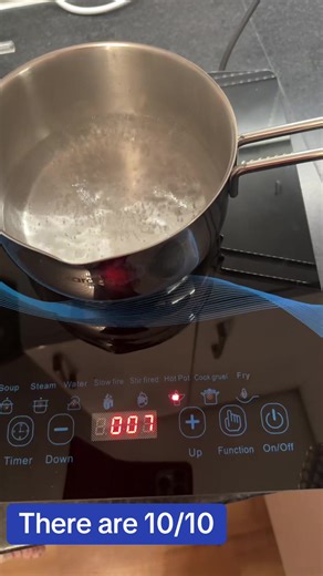 Easiest Induction Hob for Camping: Durable and User-Friendly