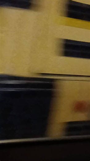 2007 Blue Bird Vision Handicap #27199