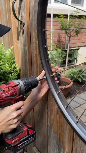 Custom Dog Window DIY: Easy Peek-a-Boo Window for Backyard Doors