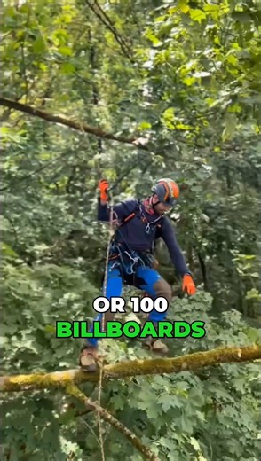 How much does it actually cost to remove a tree in citrus county? Some trees might be $1,000… others $2,500 or even $4,000. it all depends on the size, height, location, and how tricky the removal is. But here’s the difference: we price based on real work, not guesswork. I personally actually come out, look at the tree, the access, the gear needed — and give you a straight, fair quote. No inflated “city rates.” No nonsense. No salesman commission-because you deal directly with me, and therefore 