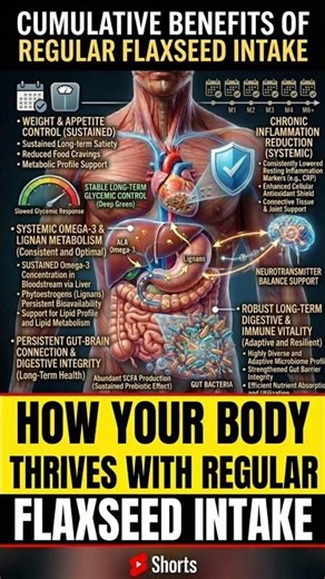 How Flax Seeds Travel Through Your Body..