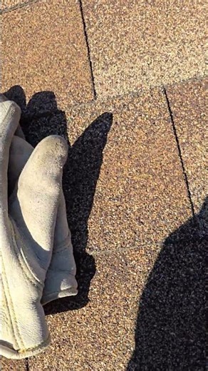 2025 Gutterbrush Review After 6 Months