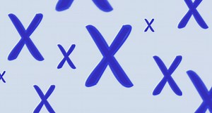 Revealing the Simple Rules That Govern Genome Folding | Genetics And Genomics