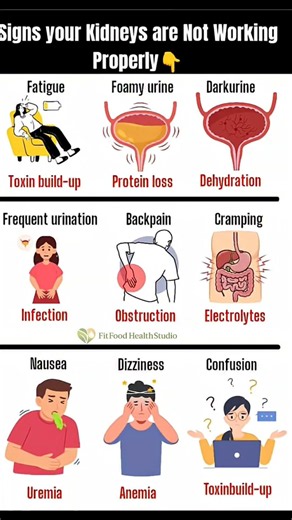 9 Warning Signs Your Kidneys May Not Be Working Properly | Early Kidney Disease Symptoms 🚨🩺 #health