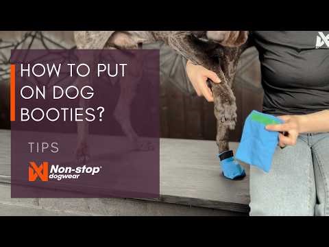 How to put on dog booties?