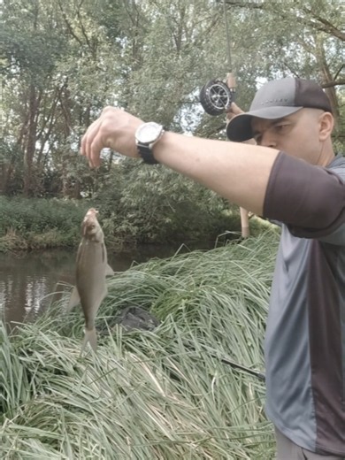 #Float #Fishing for bream using my centerpin reel and float rod! 🎣🥳Great River Action!