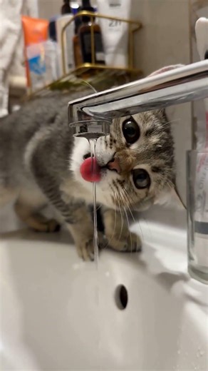 YOU WON'T BELIEVE WHAT HAPPENS WHEN I TYPE 223058 INTO MY COMPUTER... | Ep.104