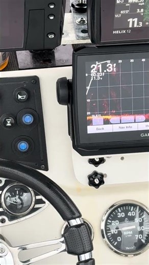 Jigging on livescope for white bass. #fishing #fyp #whitebass #livescope