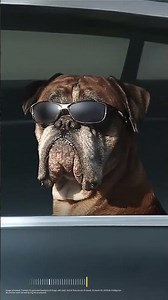 Samsung is setting a benchmark in camera tech