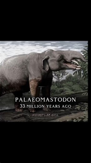 The evolution of Elephants! #evolution #elephant #prehistoric #oldearth