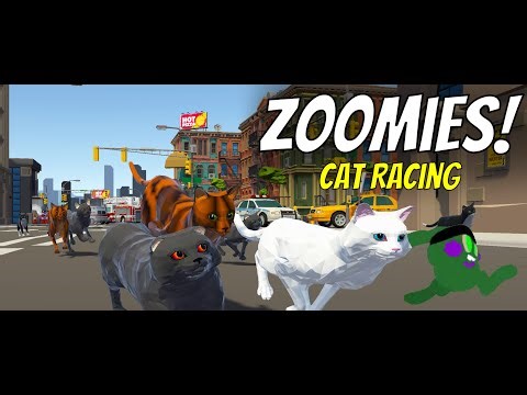 Zoomies Cat Racing