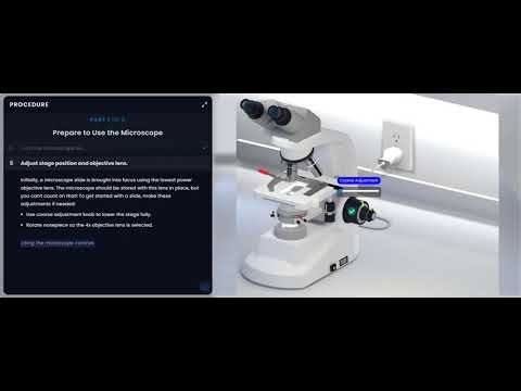 Pearson Interactive Labs | Compound Microscope