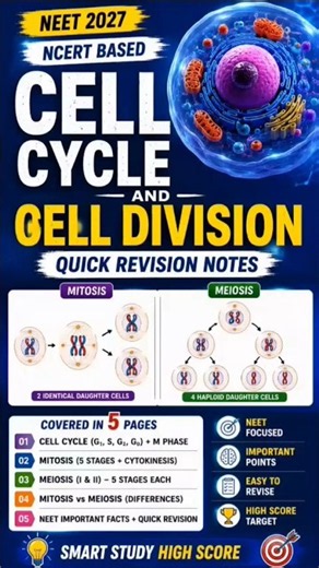 Cell Cycle and Cell Division | Complete NCERT Explanation | Mitosis & Meiosis | Class 11 Biology