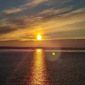 🌞☀️Spring has sprung!🌞☀️ share with us your beautiful spring pictures, and let us have fun with the season. Have a wonderful season! 🌻🌸🌷 #weathersouthafrica #spring #weatherupdate | South African Weather Service