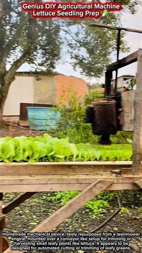 Genius DIY Agricultural Machine | Lettuce Seedling Prep 🥬