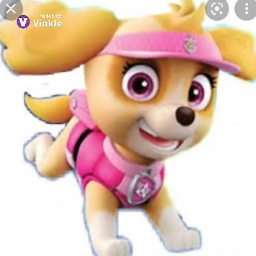 Paw Patrol Skye edit