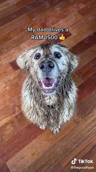 She’s one of a kind 😂 | ram 1500 car