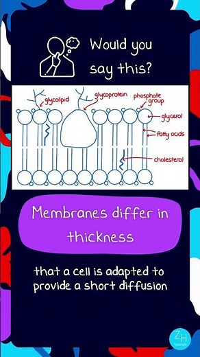 A-Level Biology Misconceptions! | Membrane Edition #alevelbiology