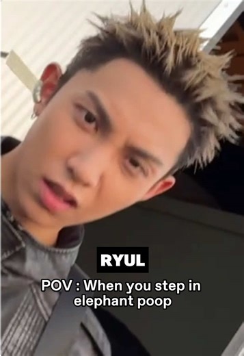 Encountering Elephant Poop: A Humorous Perspective