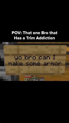 Minecraft Trim Moment