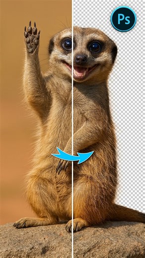 The_Edit_Art on Instagram: "Photoshop Tips | Noob vs Pro Editor | The Edit Art | Beginner | Tutorial | Reels | Meerkat . Remove Background . . . #graphicdesign #graphicdesigner #designinspiration #photoshop #illustrator #aftereffect #premierpro #logodesign #branding #creativeminds #designtips #digitalart #artwork #posterdesign #creativeindia #contentcreator #reelsofinstagram #photoshoptutorial #designreel #adobe #artcommunity #visualart #learnwithme #graphicdesignindia #designeducation #dailyins