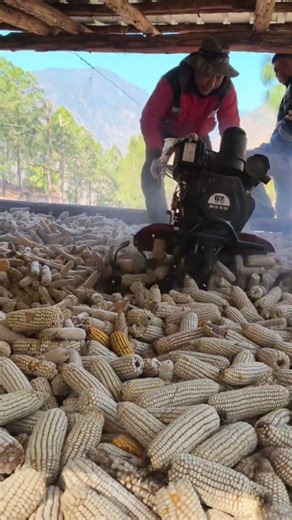 Smart Farming Trick: Shelling Corn Using a Tractor