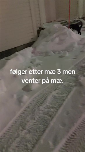 Ken Roger Nilsen (@ken.roger.nilsen)’s videos with original sound - Ken Roger Nilsen