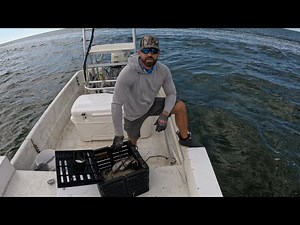 Crab Trap Robbers Cost me Hundreds!!!!