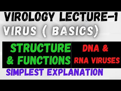 Virus Structure and Classification // shape of viruses // DNA VIRUS & RNA virus