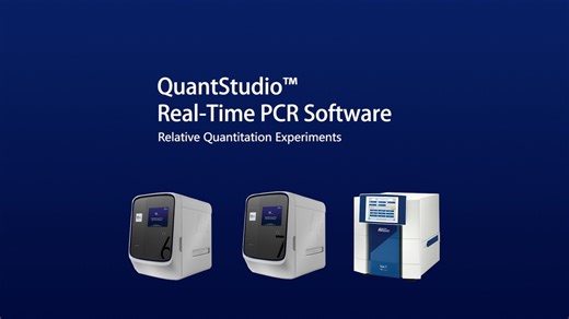QuantStudio 6 软件操作视频（相对定量）