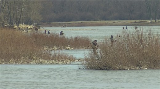 Study: freshwater fish across the US are contaminated with forever chemicals