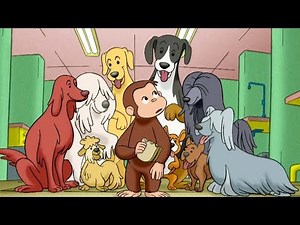 おさるのジョージ 🐵109 ワンちゃん大好き 🐵TVアニメシリーズ🐵シーズン1