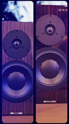 Product Spotlight: DYNAUDIO SPECIAL FORTY Bookshelf Speakers