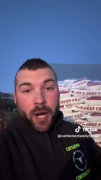 Essential Feed Practices for Healthy Cattle Livestock