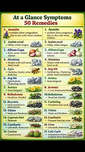 Homeopathic Remedies Chart” presents important homeopathic medicines with their key symptoms in a clear, easy-to-understand format. Each remedy is shown with a small, sharp, and visually appealing image, making it ideal for students, doctors, and homeopathy learners. This chart helps in quick revision and fast recall of commonly used homeopathic medicines like Aconite, Belladonna, Arnica, Bryonia, Apis, Arsenic, China, Calcarea Carb, and many more. Perfect for clinic display, study material, soc