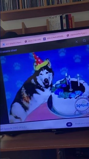 Elmo world babies dogs and more cakes quiz again