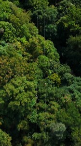 Have you ever wanted to zip longer than the New River Gorge Bridge? Take on Gravity Ziplines this summer & soar over Wild & Wonderful West Virginia ☀️ | Adventures on the Gorge