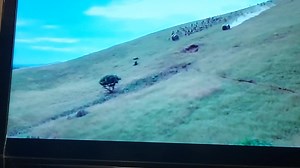 Shout At The Devil (1976 film) portraying the German Schutztruppe of East Africa in 1914. Humorous yet appalling. I'd recommend watch it and see what we up against. I'll go to my dying day supporting the German Colonial Empire 🌟 Click on the link below to learn more on this film: https://en.wikipedia.org/wiki/Shout_at_the_Devil_(film) | German Colonial Empire
