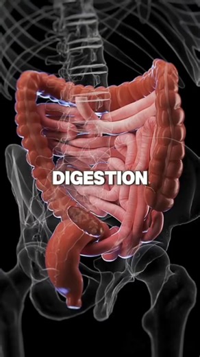 Healthy snack ideas using eggs and avocado for energy