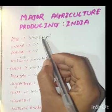 Major agriculture producing states in india