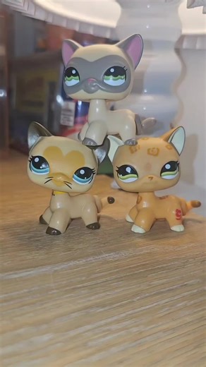 Fashion Week LPS Merchandise Offer