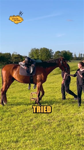 Horse Startled by its Own Fart Sends Rider Flying #fyp #viral2026 #fart #reel | Fart On My Wits