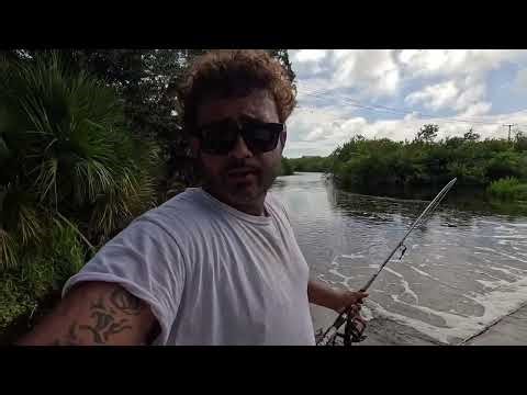 Welcome to the jungle exploring off grid Florida