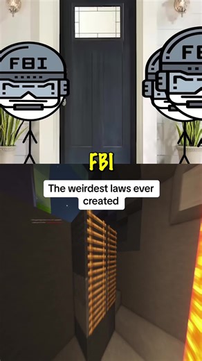 #laws #avocadoanimations #weird